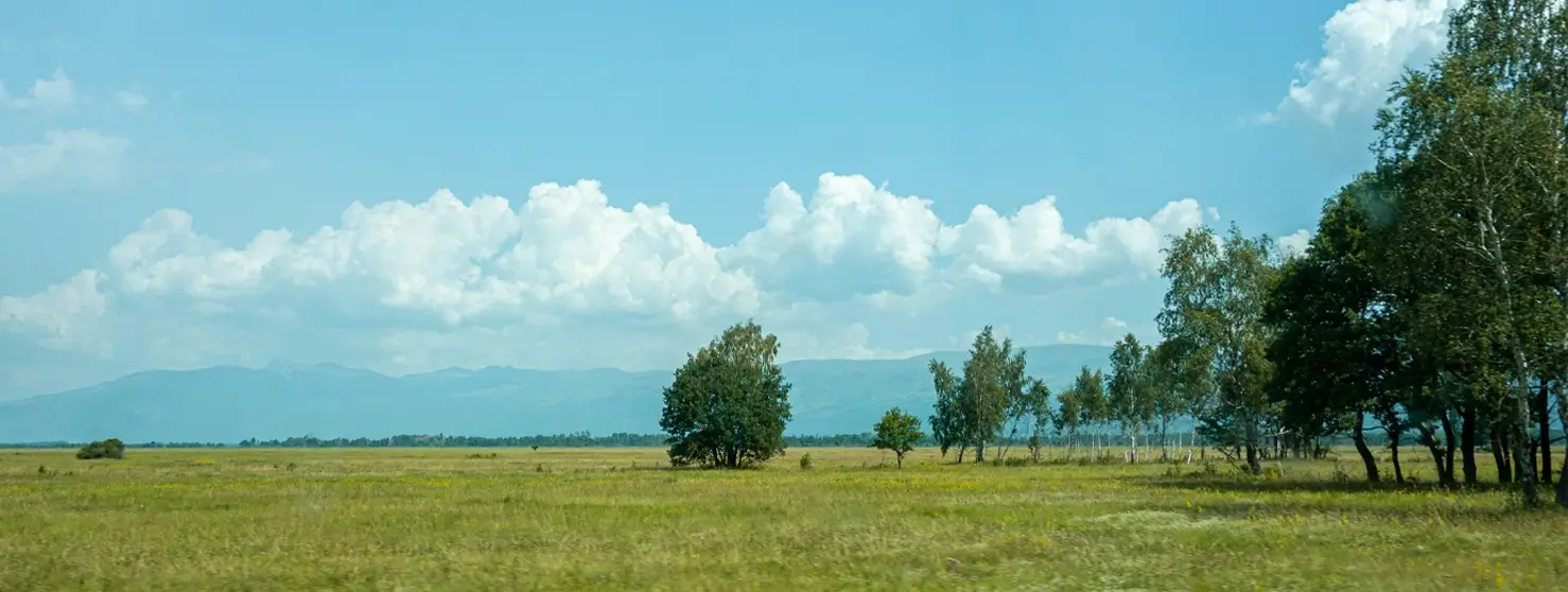 Turning Sumba's Raw Land Into Profitable Real Estate by Indoned
